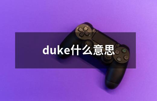 duke什么意思-第1张-游戏资讯-智辉网络