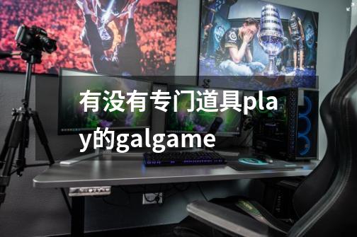 有没有专门道具play的galgame-第1张-游戏资讯-智辉网络