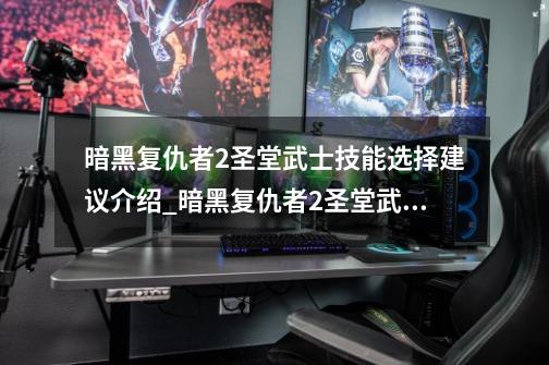 暗黑复仇者2圣堂武士技能选择建议介绍_暗黑复仇者2圣堂武士技能选择建议是什么-第1张-游戏资讯-智辉网络