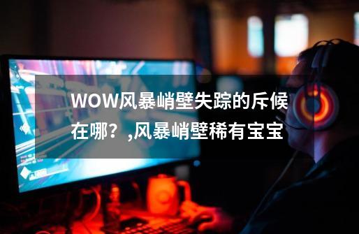 WOW风暴峭壁失踪的斥候在哪？,风暴峭壁稀有宝宝-第1张-游戏资讯-智辉网络