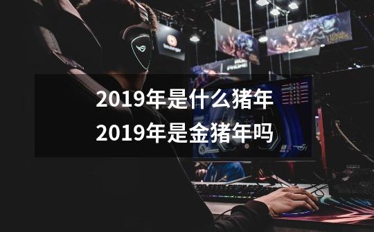 2019年是什么猪年 2019年是金猪年吗-第1张-游戏资讯-智辉网络