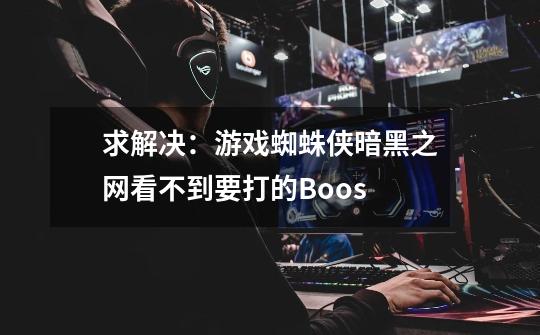 求解决：游戏蜘蛛侠暗黑之网看不到要打的Boos-第1张-游戏资讯-智辉网络