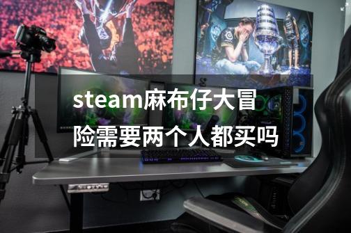 steam麻布仔大冒险需要两个人都买吗-第1张-游戏资讯-智辉网络