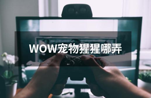 WOW宠物猩猩哪弄-第1张-游戏资讯-智辉网络