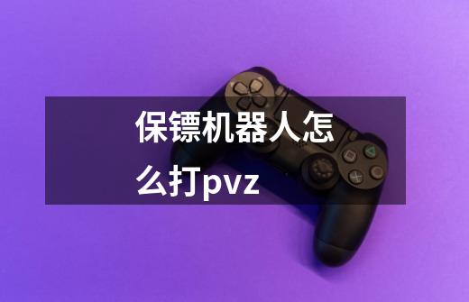 保镖机器人怎么打pvz-第1张-游戏资讯-智辉网络