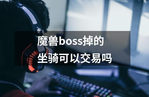 魔兽boss掉的坐骑可以交易吗-第1张-游戏资讯-智辉网络