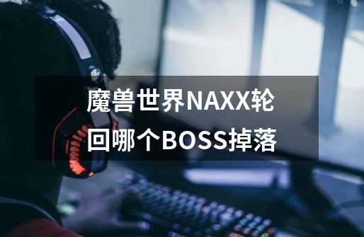 魔兽世界NAXX轮回哪个BOSS掉落-第1张-游戏资讯-智辉网络