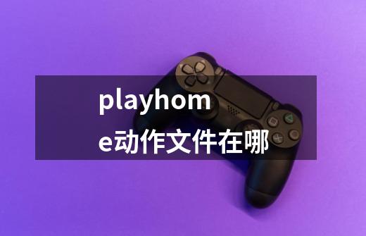 playhome动作文件在哪-第1张-游戏资讯-智辉网络