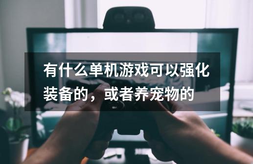 .有什么单机游戏可以强化装备的，或者养宠物的-第1张-游戏资讯-智辉网络