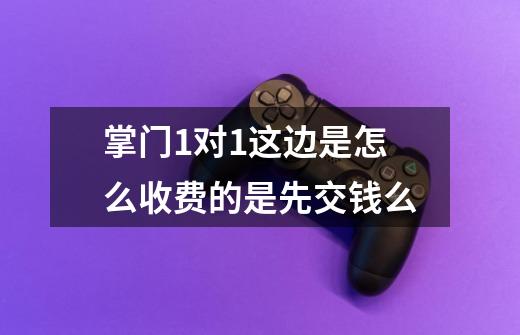 掌门1对1这边是怎么收费的是先交钱么-第1张-游戏资讯-智辉网络