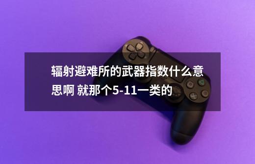 辐射避难所的武器指数什么意思啊 就那个5-11一类的-第1张-游戏资讯-智辉网络