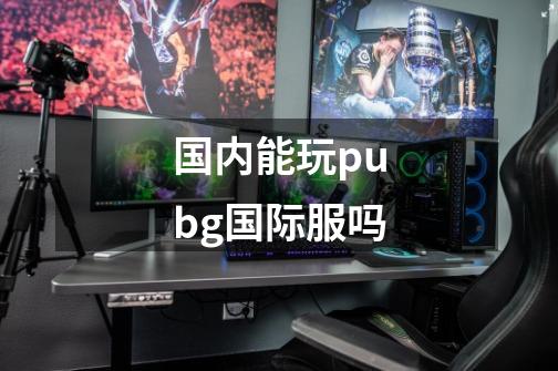 国内能玩pubg国际服吗-第1张-游戏资讯-智辉网络