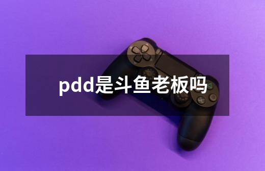 pdd是斗鱼老板吗-第1张-游戏资讯-智辉网络