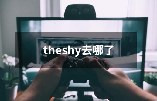 theshy去哪了-第1张-游戏资讯-智辉网络