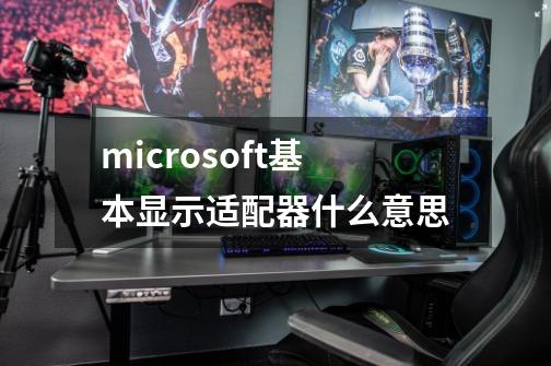 microsoft基本显示适配器什么意思-第1张-游戏资讯-智辉网络