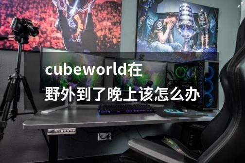 cubeworld在野外到了晚上该怎么办-第1张-游戏资讯-智辉网络