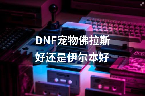 DNF宠物佛拉斯好还是伊尔本好-第1张-游戏资讯-智辉网络