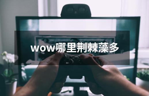 wow哪里荆棘藻多-第1张-游戏资讯-智辉网络