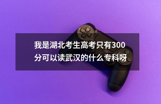 我是湖北考生高考只有300分可以读武汉的什么专科呀-第1张-游戏资讯-智辉网络