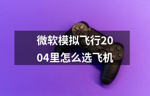 微软模拟飞行2004里怎么选飞机-第1张-游戏资讯-智辉网络