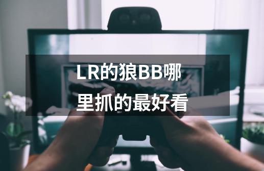 LR的狼BB哪里抓的最好看-第1张-游戏资讯-智辉网络