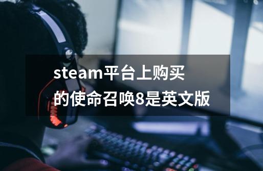 steam平台上购买的使命召唤8是英文版-第1张-游戏资讯-智辉网络