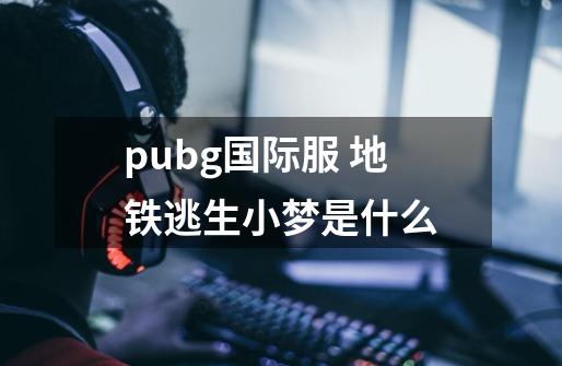 pubg国际服 地铁逃生小梦是什么-第1张-游戏资讯-智辉网络