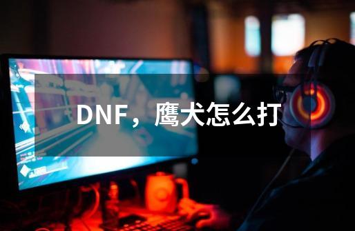 DNF，鹰犬怎么打-第1张-游戏资讯-智辉网络