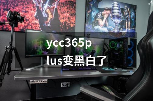 ycc365plus变黑白了-第1张-游戏资讯-智辉网络