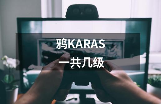 鸦KARAS 一共几级-第1张-游戏资讯-智辉网络