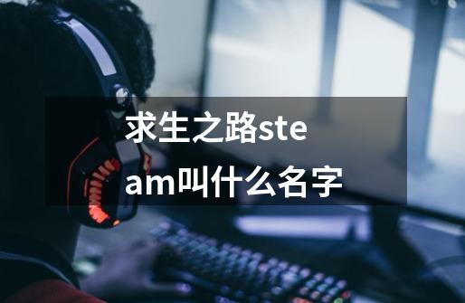 求生之路steam叫什么名字-第1张-游戏资讯-智辉网络