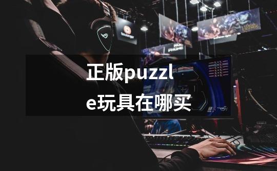 正版puzzle玩具在哪买-第1张-游戏资讯-智辉网络