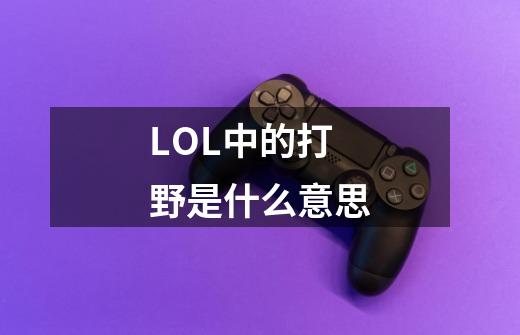 LOL中的打野是什么意思-第1张-游戏资讯-智辉网络