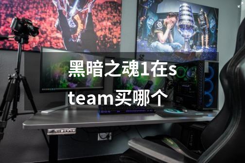 黑暗之魂1在steam买哪个-第1张-游戏资讯-智辉网络