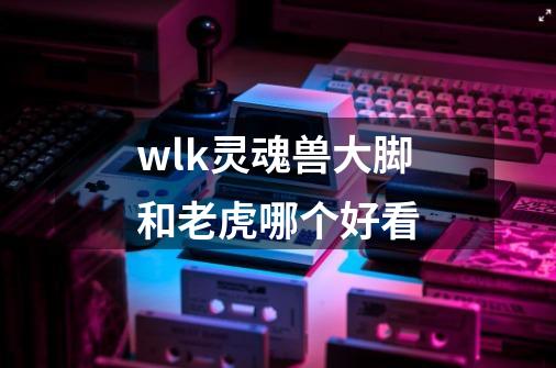 wlk灵魂兽大脚和老虎哪个好看-第1张-游戏资讯-智辉网络