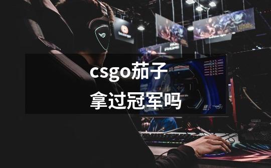 csgo茄子拿过冠军吗-第1张-游戏资讯-智辉网络