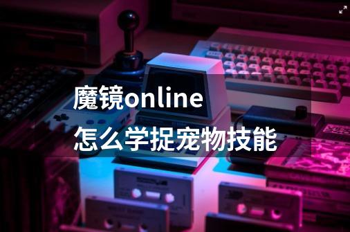 魔镜online怎么学捉宠物技能-第1张-游戏资讯-智辉网络