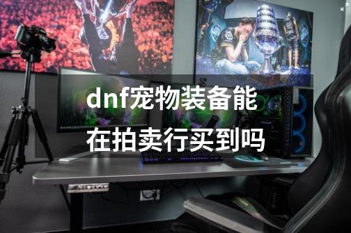 dnf宠物装备能在拍卖行买到吗-第1张-游戏资讯-智辉网络