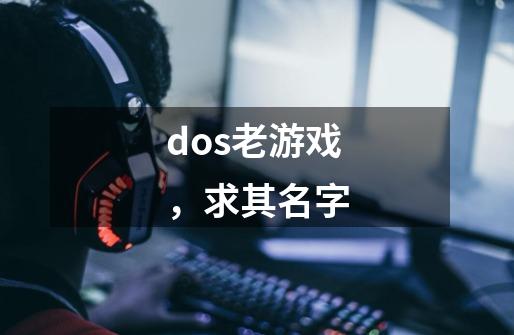 dos老游戏，求其名字-第1张-游戏资讯-智辉网络