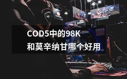 COD5中的98K和莫辛纳甘哪个好用-第1张-游戏资讯-智辉网络