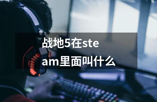 战地5在steam里面叫什么-第1张-游戏资讯-智辉网络