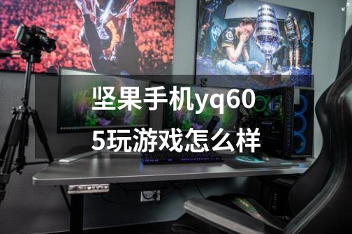 坚果手机yq605玩游戏怎么样-第1张-游戏资讯-智辉网络