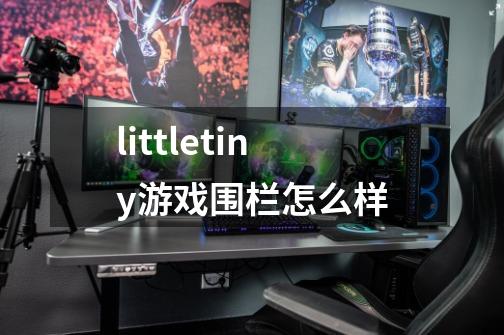 littletiny游戏围栏怎么样-第1张-游戏资讯-智辉网络