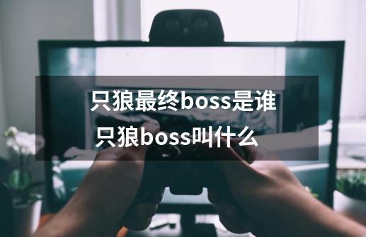 只狼最终boss是谁 只狼boss叫什么-第1张-游戏资讯-智辉网络