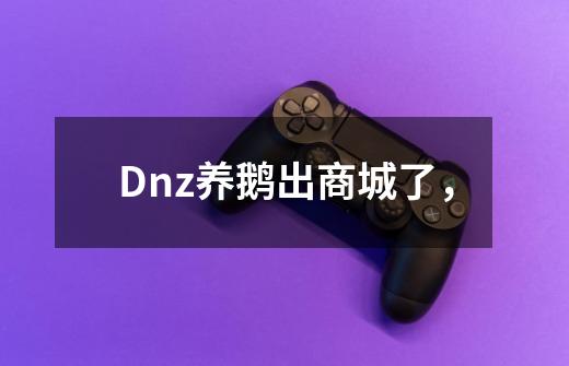 Dnz养鹅出商城了，-第1张-游戏资讯-智辉网络