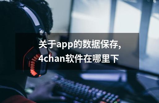 关于app的数据保存,4chan软件在哪里下-第1张-游戏资讯-智辉网络