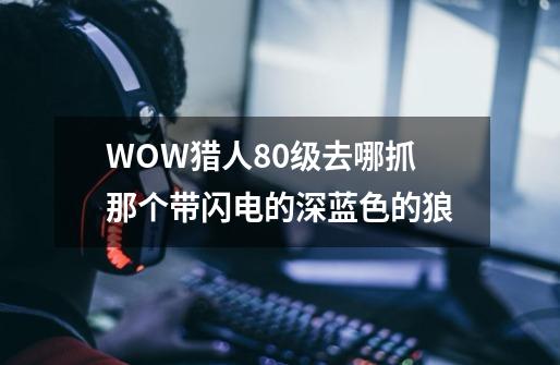 WOW猎人80级去哪抓那个带闪电的深蓝色的狼-第1张-游戏资讯-智辉网络