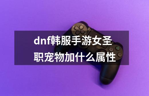 dnf韩服手游女圣职宠物加什么属性-第1张-游戏资讯-智辉网络