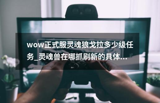 wow正式服灵魂狼戈拉多少级任务_灵魂兽在哪抓刷新的具体坐标是多少-第1张-游戏资讯-智辉网络