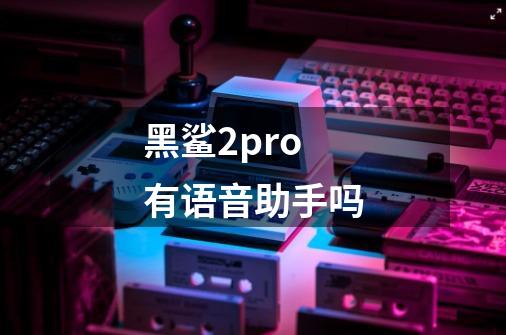 黑鲨2pro有语音助手吗-第1张-游戏资讯-智辉网络